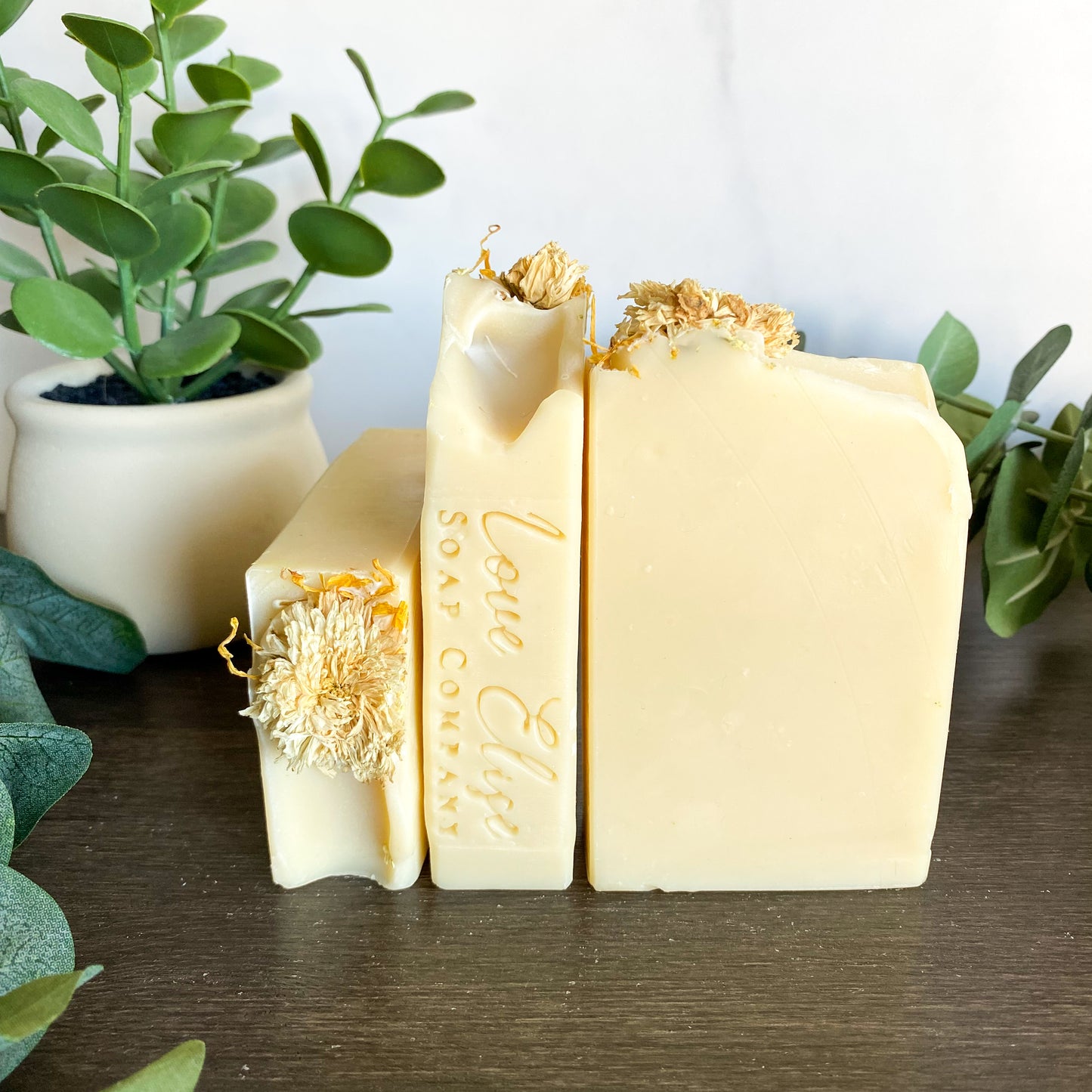 Sweet Honeysuckle Spring Collection