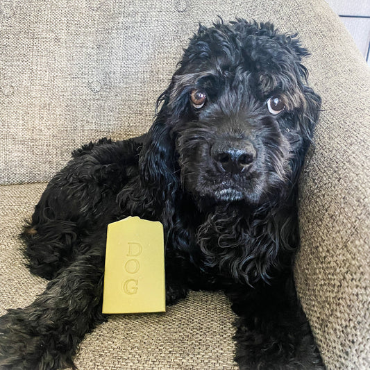 Clean Dog bar soap